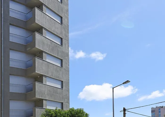 Flh Boavista Woody * Oporto