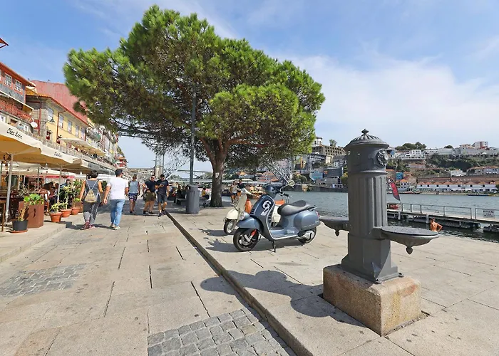 Flh Boavista Woody *