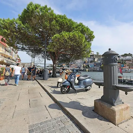 Flh Boavista Woody *